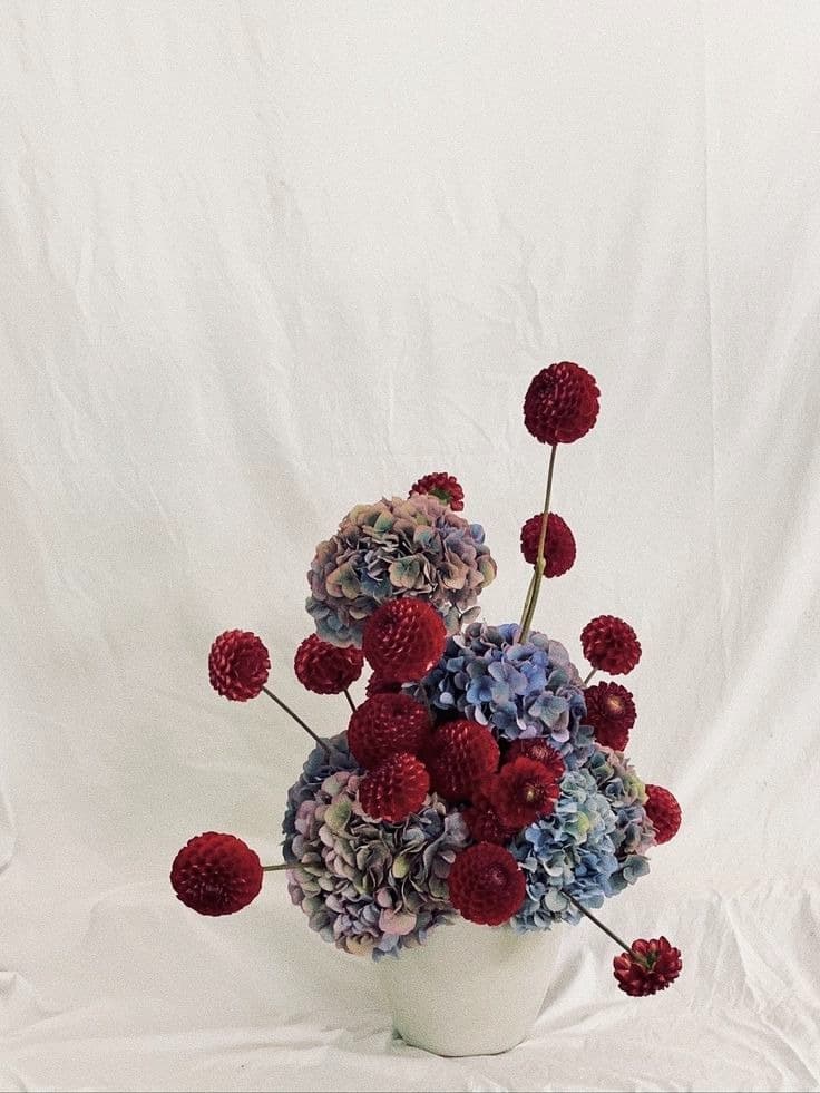 Sculptural arrangement of muted blue-mauve hydrangea with burgundy craspedia radiating outward, against a plain fabric backdrop